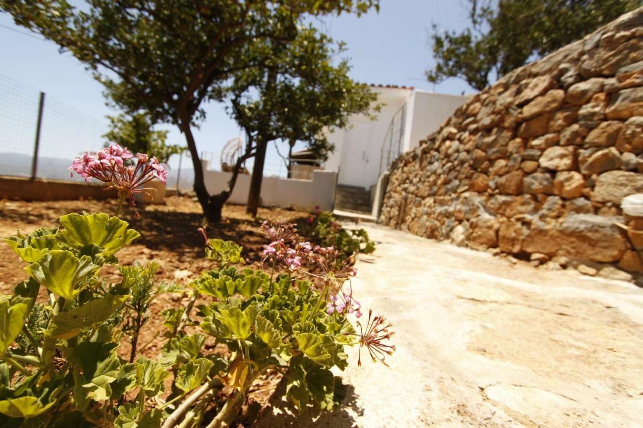 Villa Veranda Ayos Nikolaos Dış mekan fotoğraf